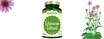 Echinacea - benefity, dávkování a vedlejší účinky